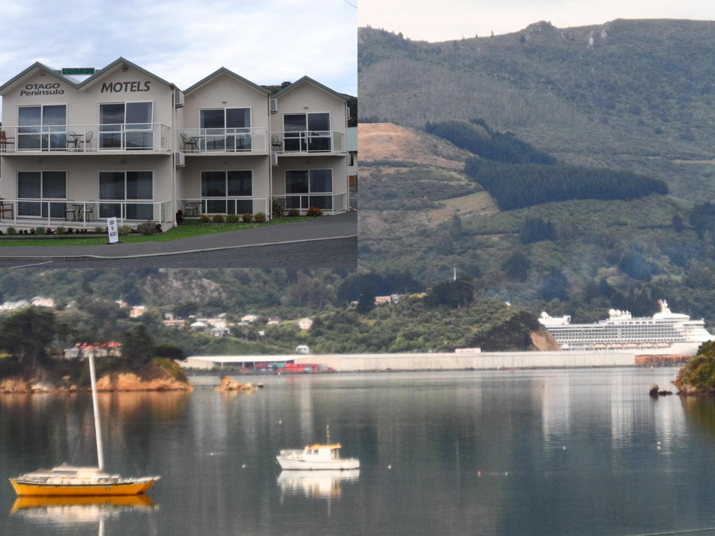 Otago Peninsula Motel Portobello Exteriér fotografie